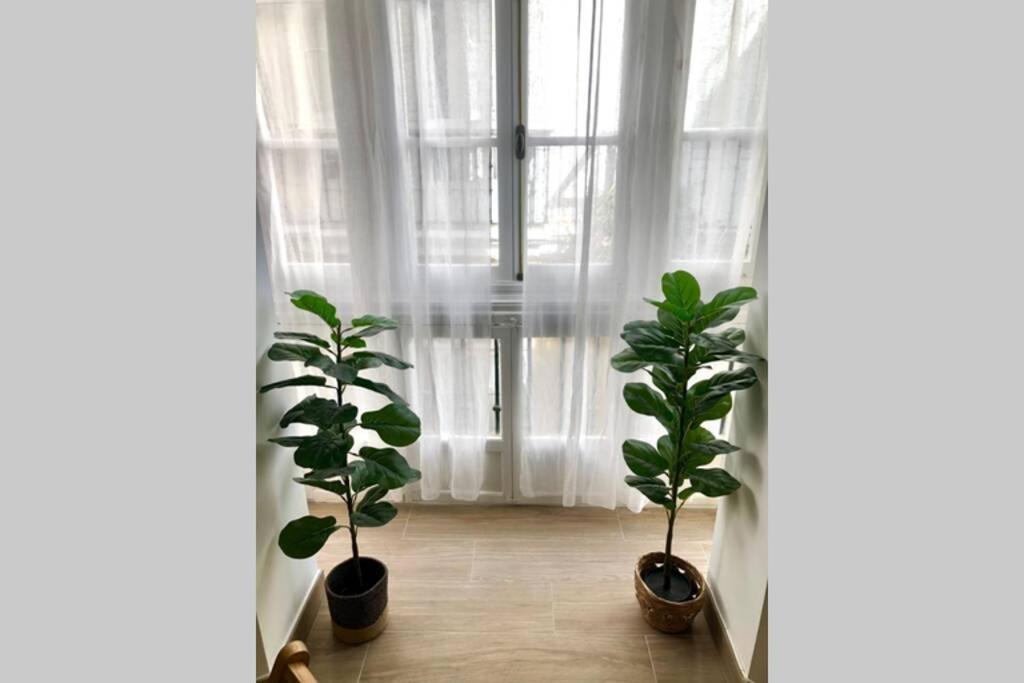 Gatu Premium Villa Libertad, Preferente Mayores De 25 Anos Y Familias 加的斯 外观 照片