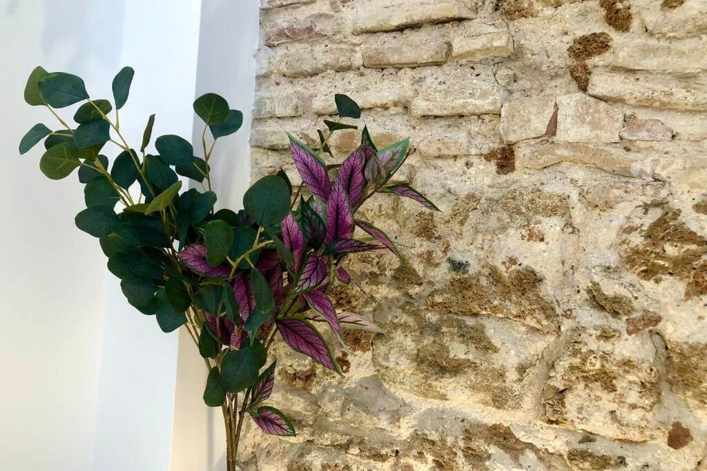 Gatu Premium Villa Libertad, Preferente Mayores De 25 Anos Y Familias 加的斯 外观 照片