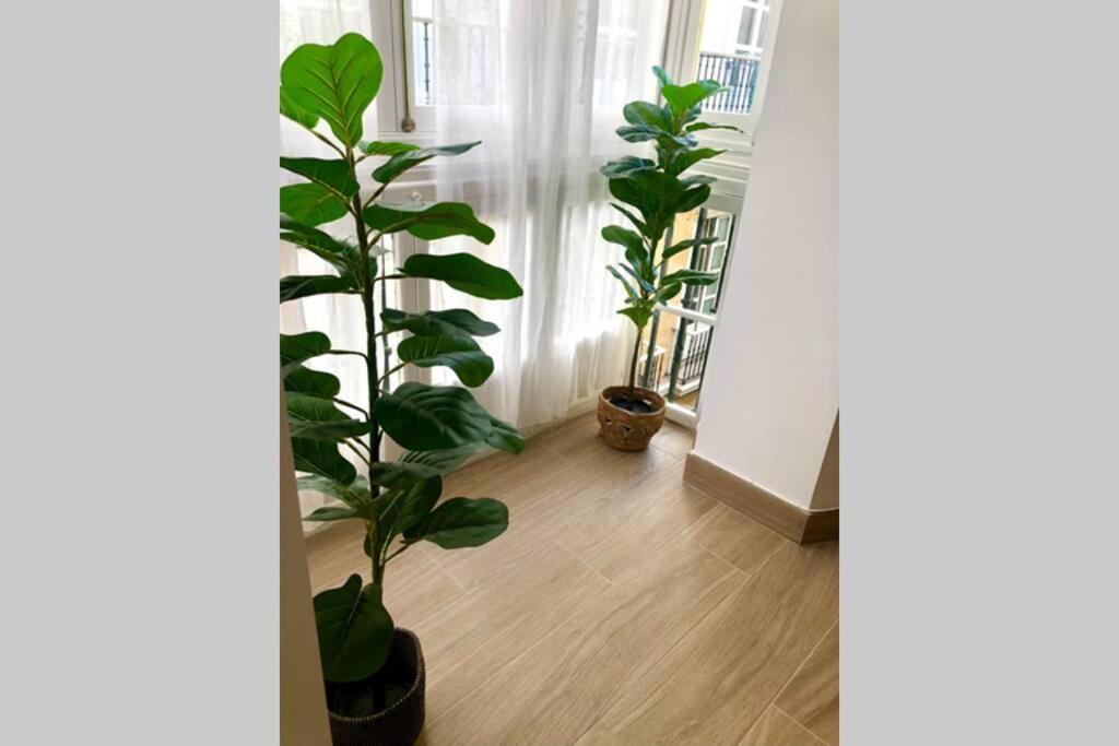 Gatu Premium Villa Libertad, Preferente Mayores De 25 Anos Y Familias 加的斯 外观 照片