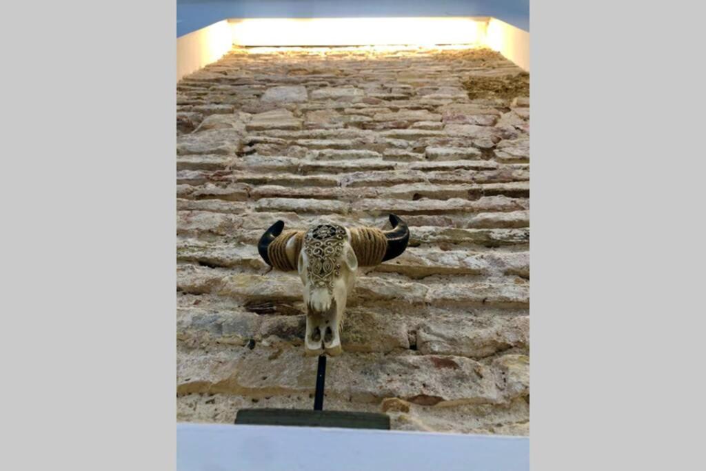 Gatu Premium Villa Libertad, Preferente Mayores De 25 Anos Y Familias 加的斯 外观 照片